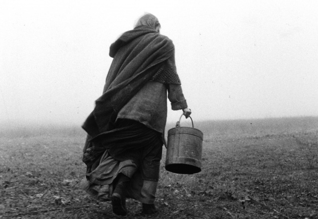 Tarr still 2 turin horse