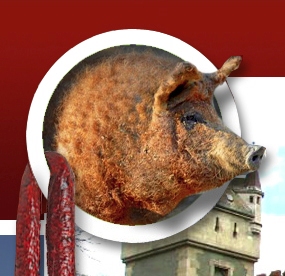 mangalica